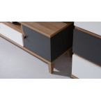 Stolik RTV Nome Biały/Dąb Złoty/Grafit