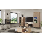 RTV 100 Amelia hikory