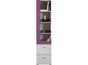 Regał Naomi 45 2SZ Sosna Bielona/Viola