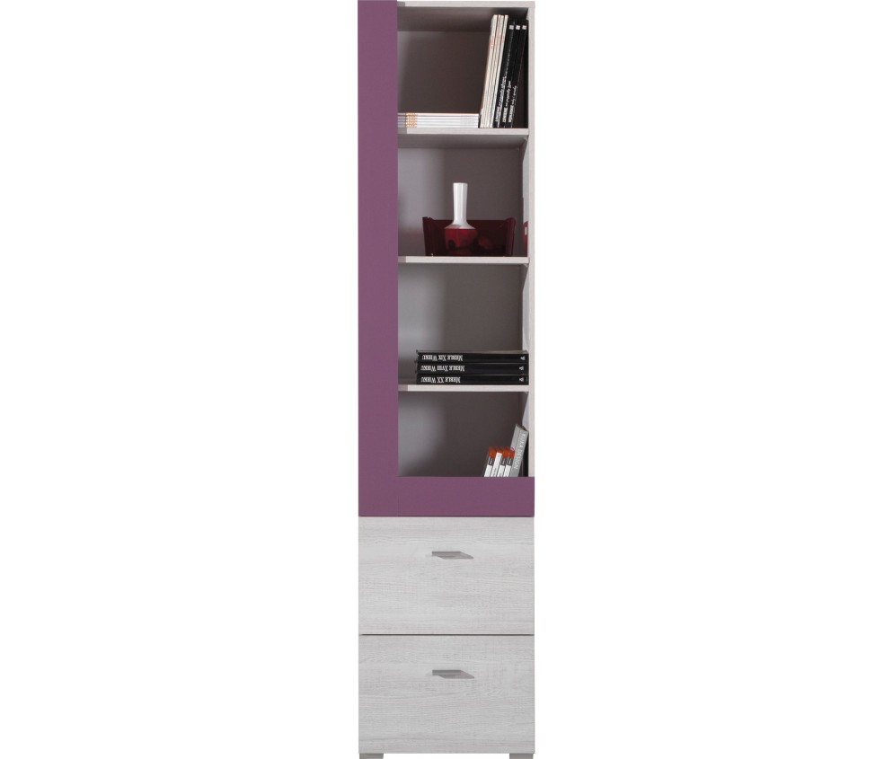 Regał Naomi 45 2SZ Sosna Bielona/Viola