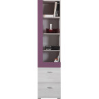 Regał Naomi 45 2SZ Sosna Bielona/Viola