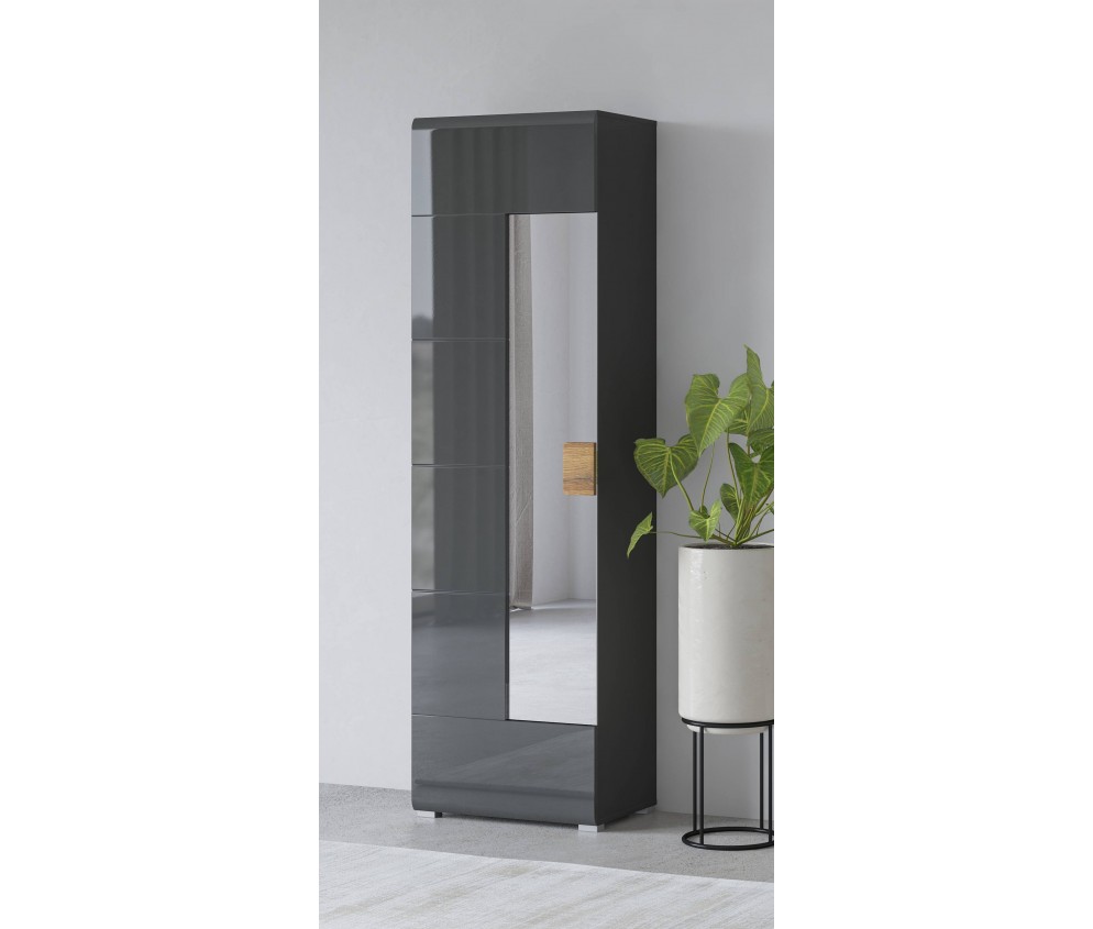 Szafa 1D Tamariso 61 Antracyt Połysk/dąb Grandson