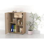 Regał do Biurka Anna 1D1S 65 Dąb Grand