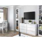 Witryna PAFOS W40/2S BIAŁY