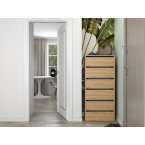 Szafka na obuwie MODO 1 ARTISAN