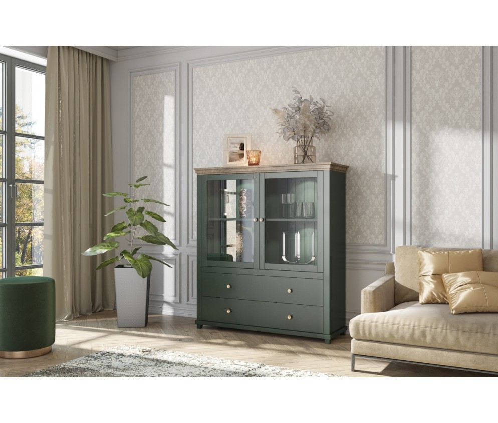 Komoda 2D2S 46 Evora Zielony/Dąb Lefkas